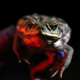 Foto: Getty